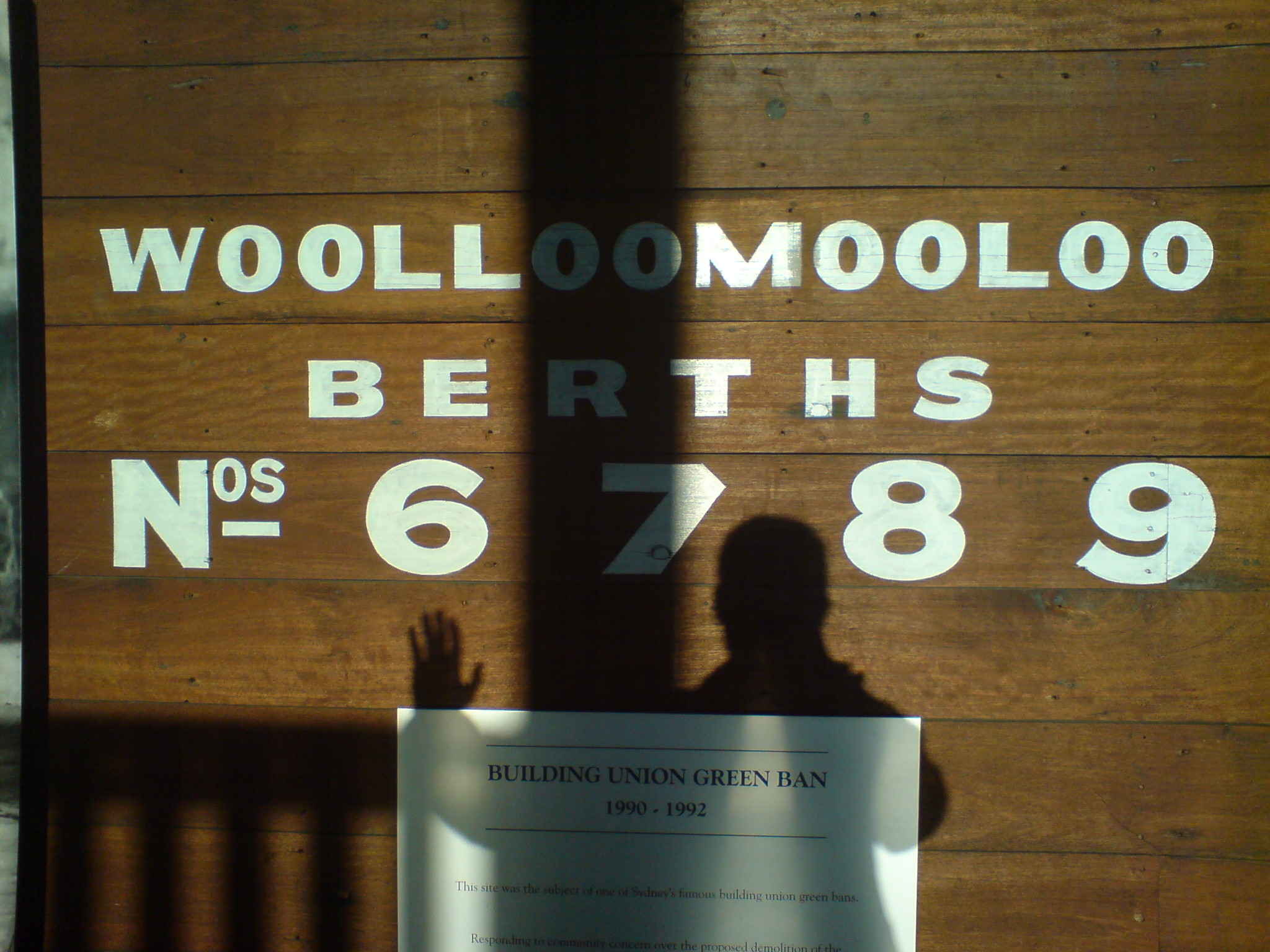 wooollooomooolooo